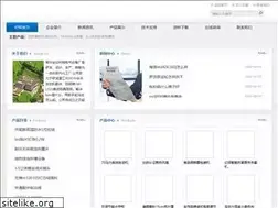 Sites similar to ameerassadi.com