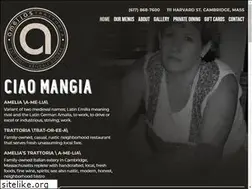 Sites similar to ameliastrattoria.com