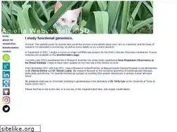 Sites similar to ameliaweberhall.net