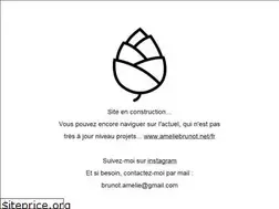 Sites similar to ameliebrunot.net