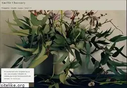 Sites similar to ameliechassary.com