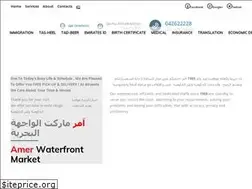 Sites similar to amerdubai.com