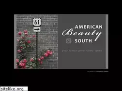 Sites similar to americanbeautysouth.com