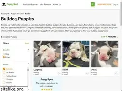 Sites similar to americanbulldogpuppiesforsale.net