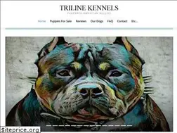 Sites similar to americanbully.pro