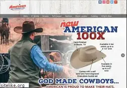 Sites similar to americanhat.net
