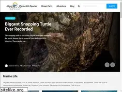 Sites similar to americanoceans.org