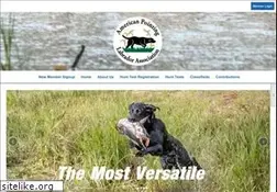 Sites similar to americanpointinglab.com