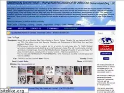 Sites similar to americanshorthair.com