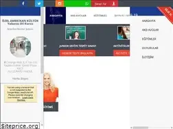 Sites similar to amerikankulturavcilar.com