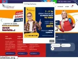 Sites similar to amerikankulturbakirkoy.com