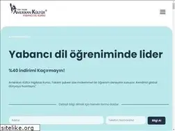Sites similar to amerikankulturtaksim.org