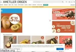 Sites similar to ametllerorigen.com