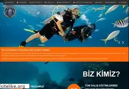 Sites similar to amfibyum.com