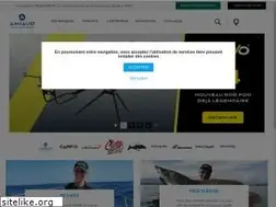 Sites similar to amiaud-peche.fr