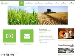 Sites similar to amic.mg