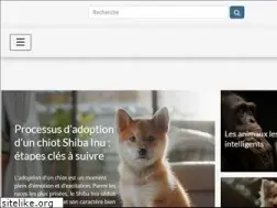 Sites similar to amicalebergerblanc.com