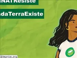 Sites similar to amigosdaterrabrasil.org.br