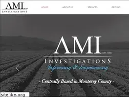 Sites similar to amiinvestigations.com