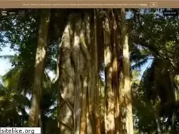 Sites similar to amilla.com