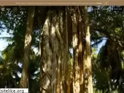 Sites similar to amilla.mv
