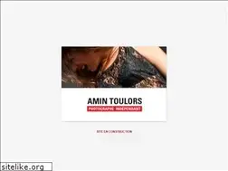 Sites similar to amintoulors.com