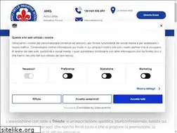 Sites similar to amiscout.it