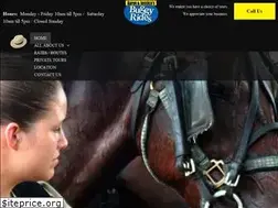 Sites similar to amishbuggyrides.com