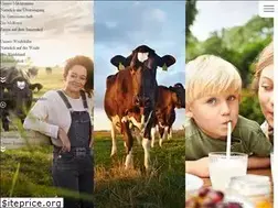 Sites similar to ammerlaender.de