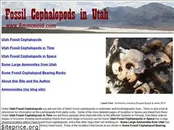 Sites similar to ammonoid.com