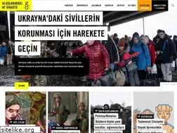 Sites similar to amnesty.org.tr