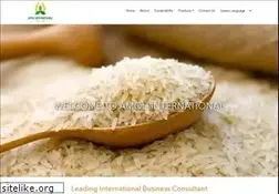 Sites similar to amoliinternational.com