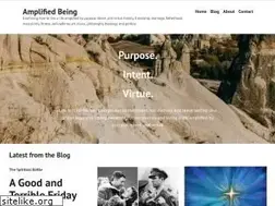 Sites similar to amplifiedbeing.com