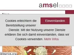 Sites similar to amsel-dmsg.de