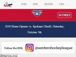 Sites similar to amshockey.com