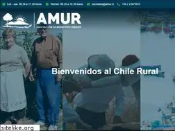 Sites similar to amur.cl