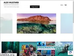 Sites similar to amustard.com