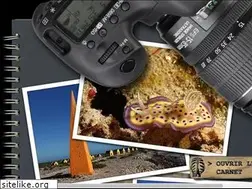 Sites similar to amvdd.fr