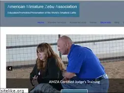 Sites similar to amzaonline.com
