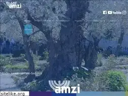 Sites similar to amzi.org