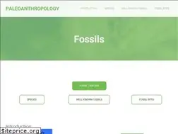 Sites similar to ana215fossils.weebly.com