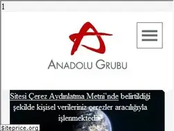 Sites similar to anadolugrubu.com.tr