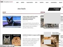 Sites similar to anadolukedisi.com