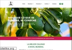 Sites similar to anajalsa.com.mx