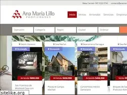 Sites similar to anamarialillo.cl