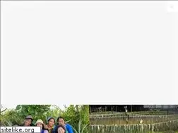 Sites similar to ananas-anam.com