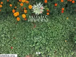 Sites similar to ananas.design