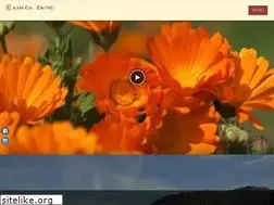 Sites similar to anasazwis.gr