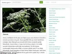 Sites similar to anason.gen.tr