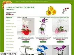 Sites similar to anatoliacicek.com